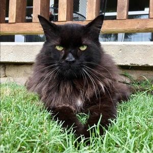 Meet your Posher, Mary leigh